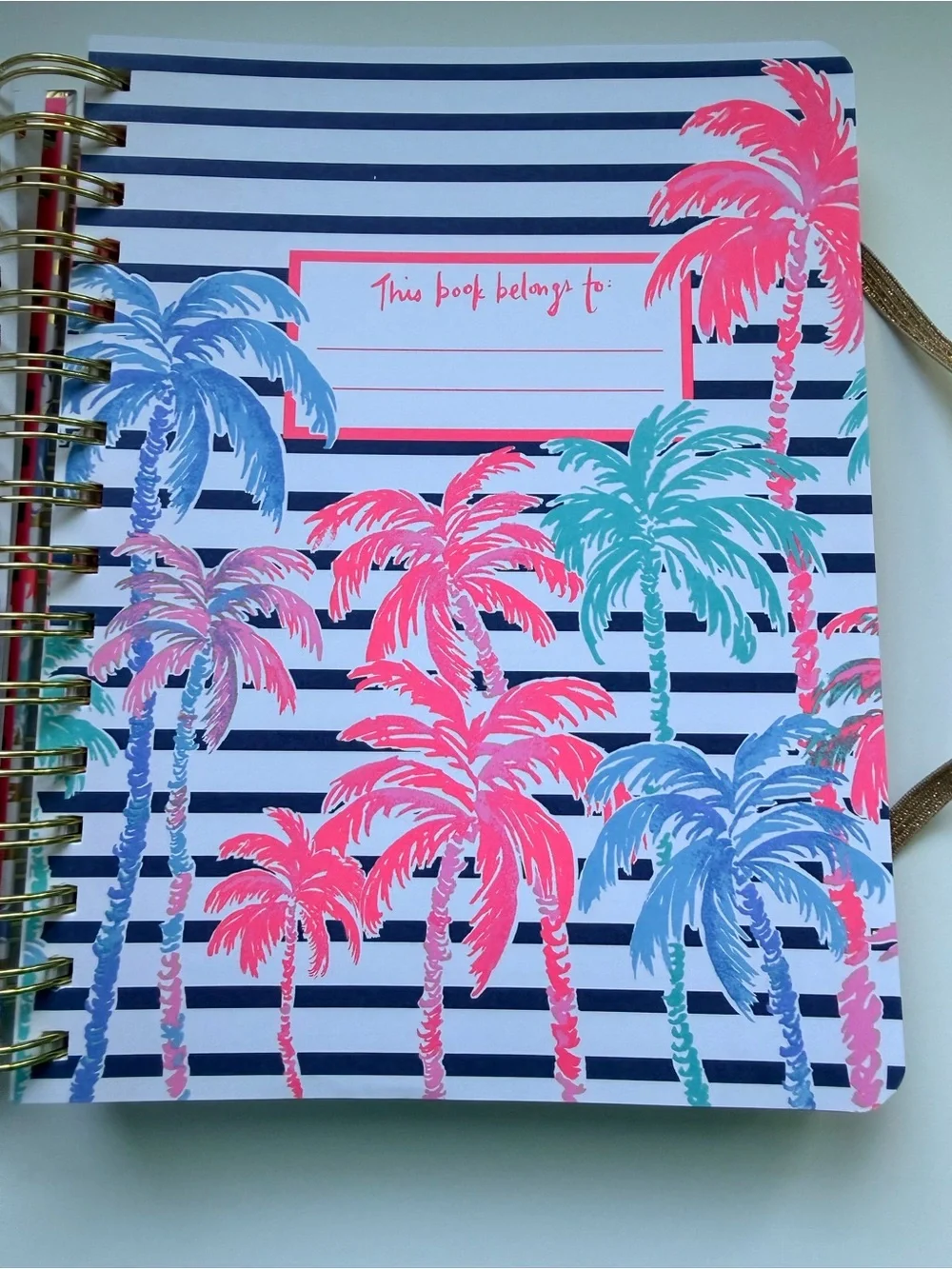 Lilly Pulitzer Pink & Blue Palm Gold-Striped To-Do Notebook New W/O Tags 316 Pgs